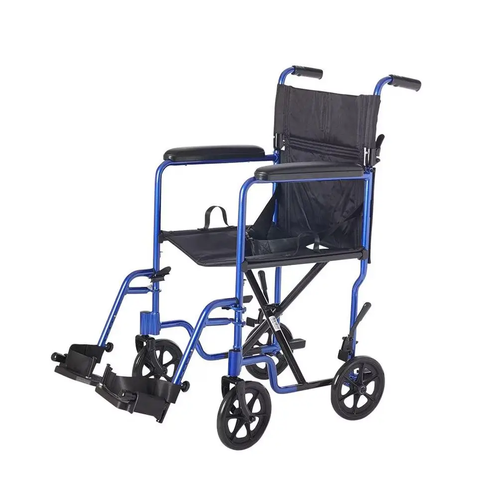 19" Aluminum Companion Chair - Blue