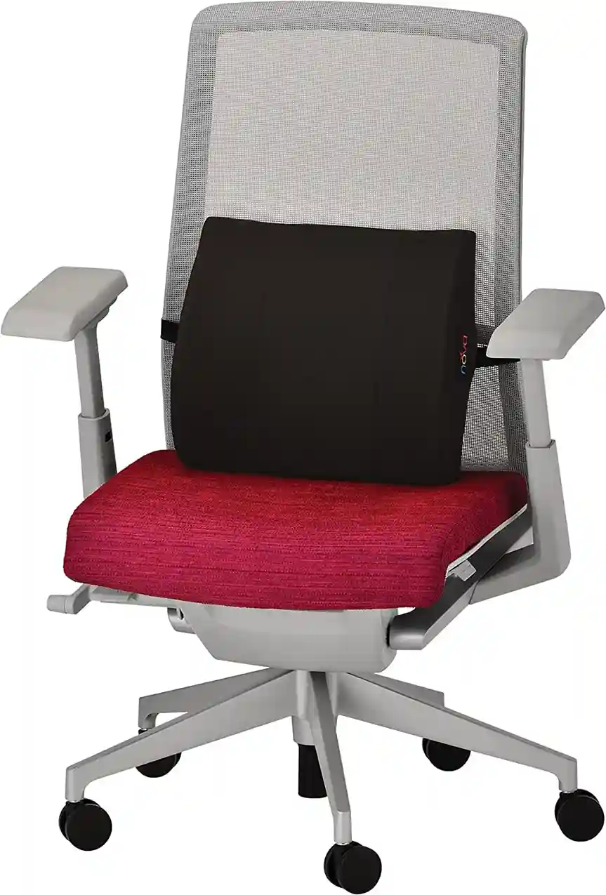 Memory Foam Lumbar Cushion with Stabilization Board Insert Pillow - Navy Blue