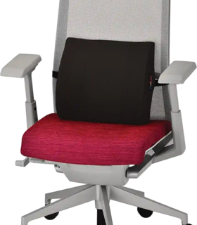 Memory Foam Lumbar Cushion with Stabilization Board Insert Pillow - Navy Blue