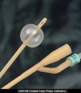 Latex Foley Catheter Bardia 24Fr