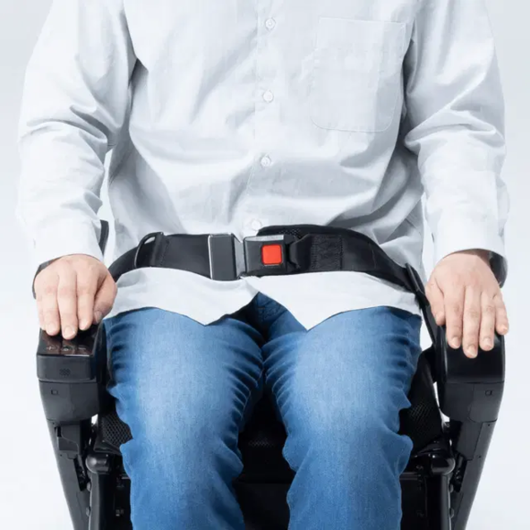 Lap Belt C2 F 24-10007-0