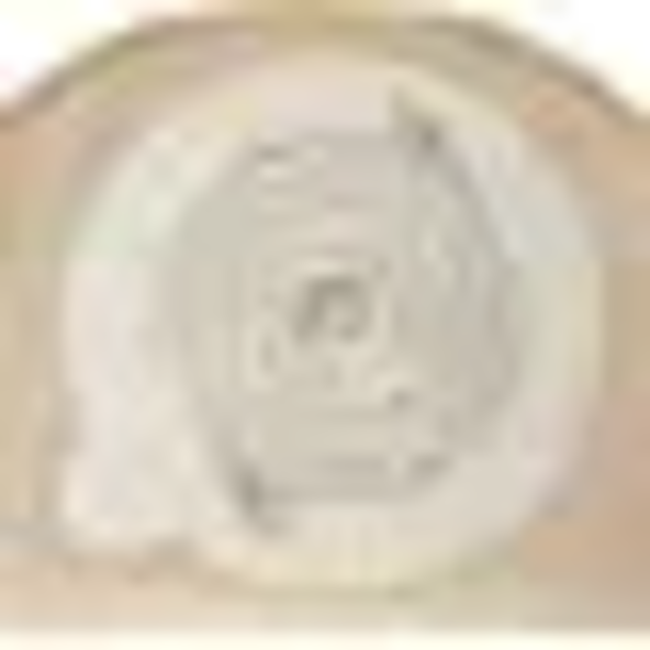 Ostomy Pouch 76120081