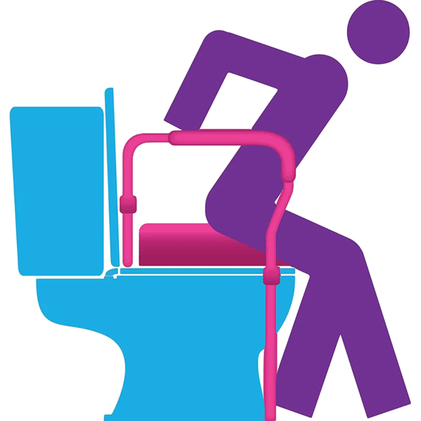 Toilet Safety Rails frame - 8200-R