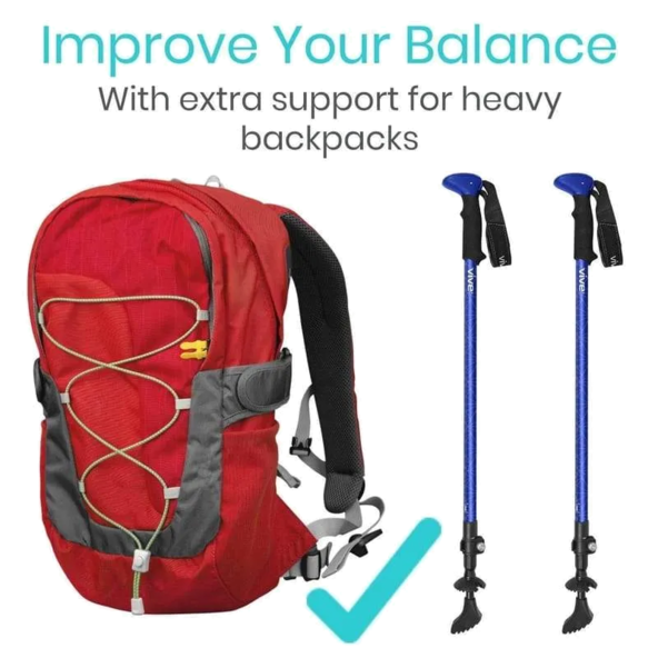 Vive Trekking Poles - MOB1034BLU