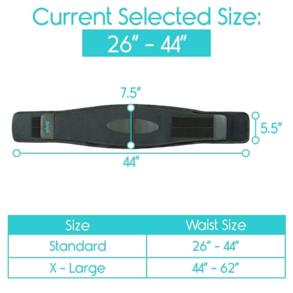 Back Brace  cushioning - SUP1040G